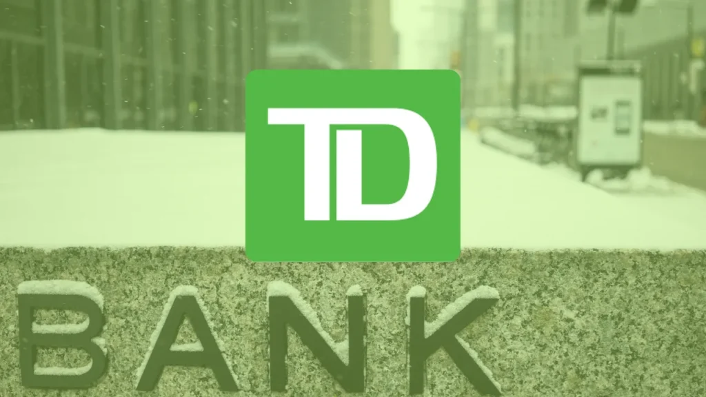 TD Loan: Flexibility that Transforms